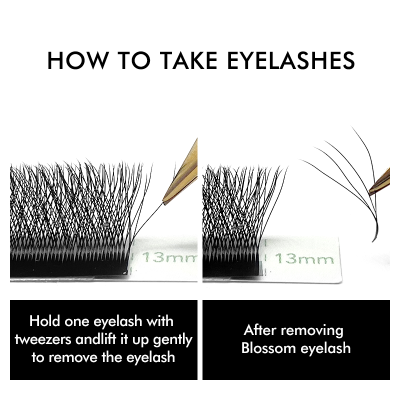 3D 4D 5D 6D W Shaped Clover Ey – Eyelash Extension Russian recenzja i cena